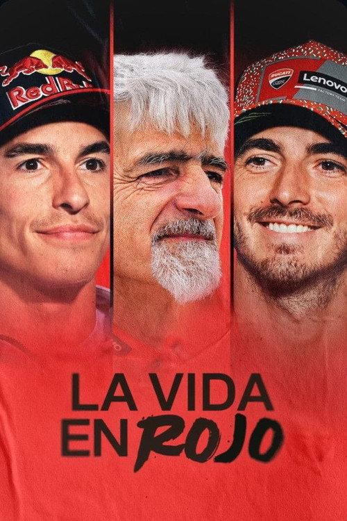 La vida en Rojo 2025 2024 official movie poster