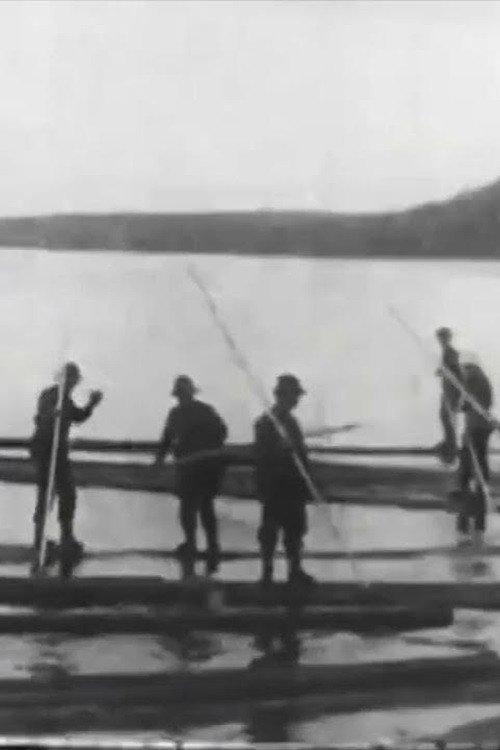 Logging in Maine 1906 official movie poster