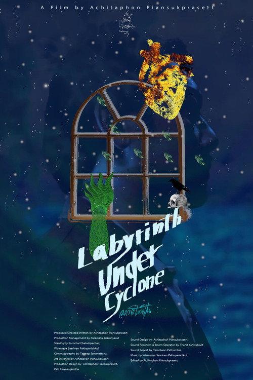 Labyrinth Under Cyclone 2025 official movie poster