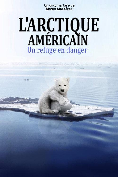 Arctic 2020 official movie poster