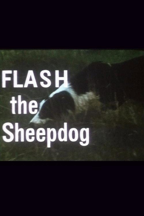 Flash the Sheepdog 1966 official movie poster