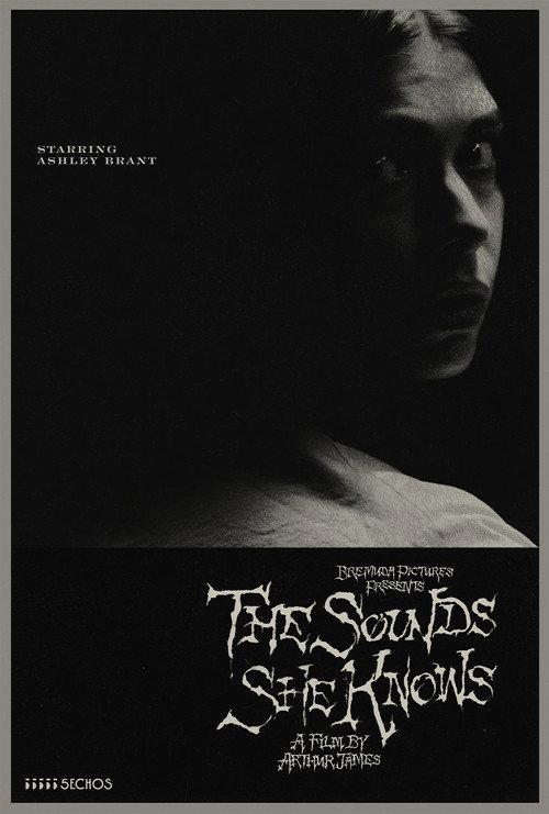 The Sounds She Knows official movie poster