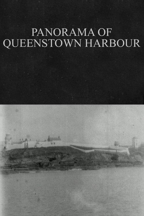 Panorama of Queenstown Harbour 1902 official movie poster