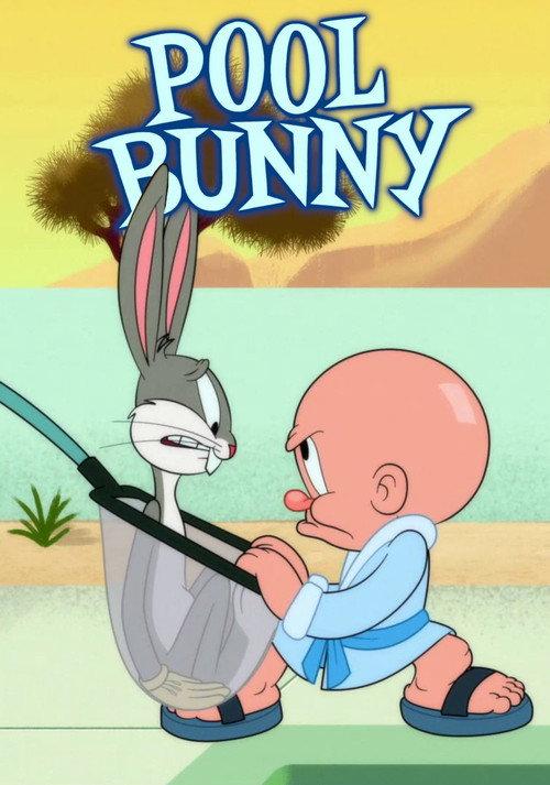 Pool Bunny 2020 official movie poster