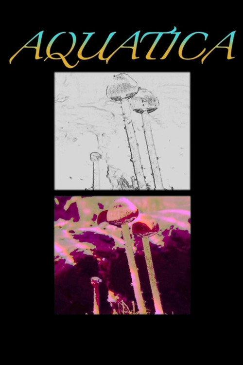 Aquatica: The Underwater Mushroom 2012 official movie poster