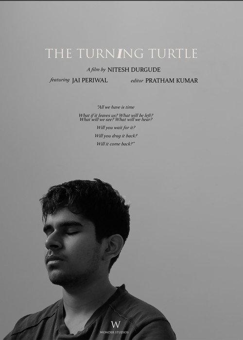 The Turning Turtle 2021 official movie poster