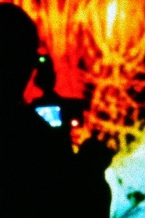Rhizomatic Directed Simulation 2014 official movie poster