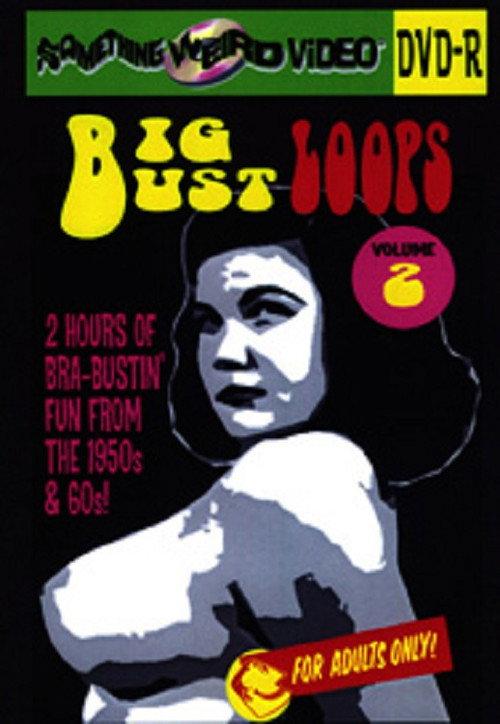 Big Bust Loops Volume 2 2009 official movie poster