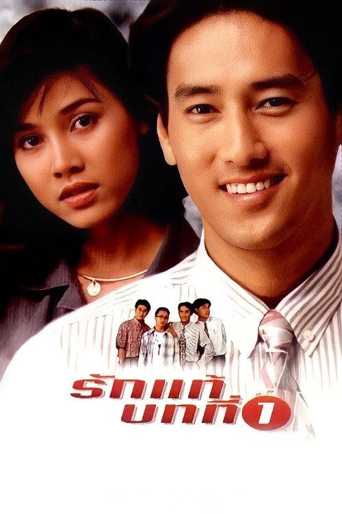 The First Lesson of True Love 1995 official movie poster
