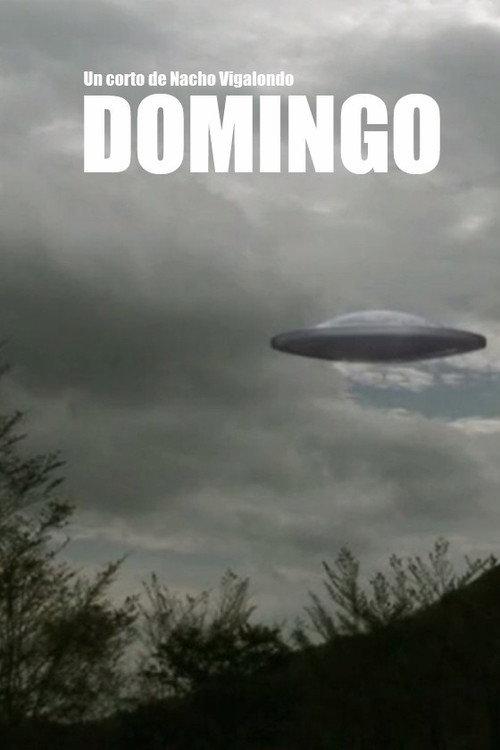 Domingo 2007 official movie poster