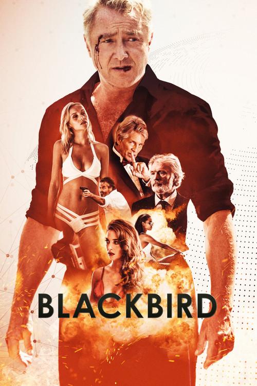 Blackbird 2022 official movie poster