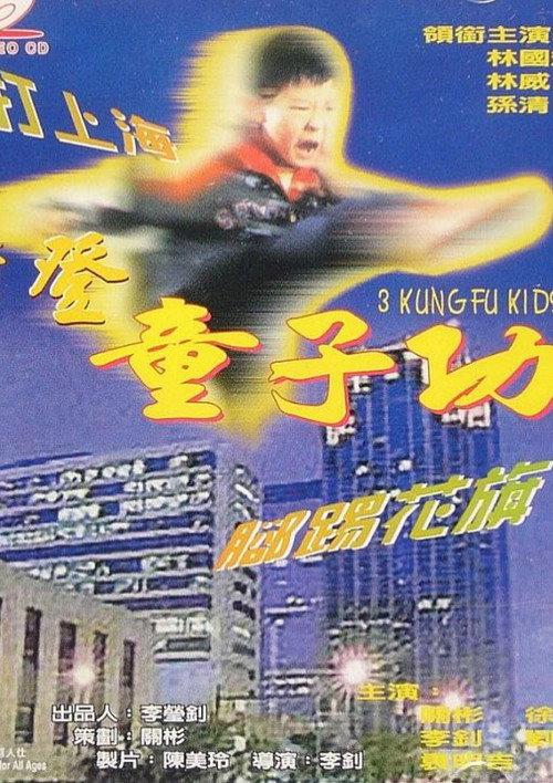 3 Kung Fu Kids 1996 official movie poster