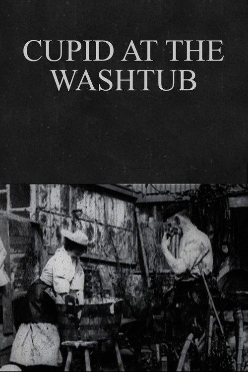 Cupid at the Washtub 1897 official movie poster