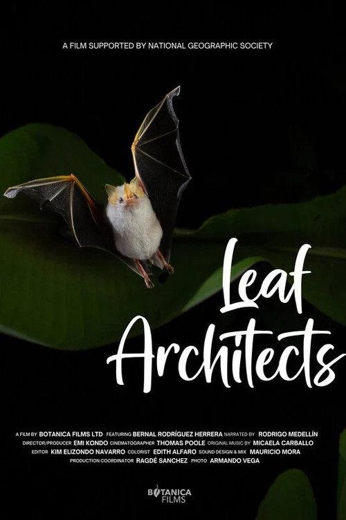 Leaf Architects 2025 official movie poster