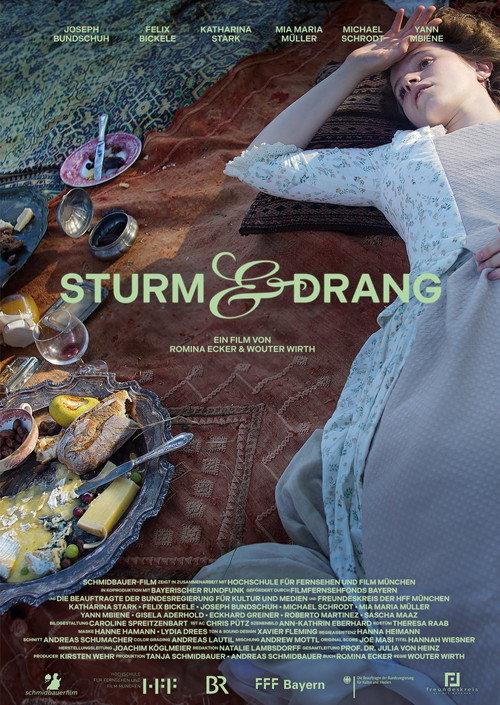 Storm & Stress 2024 official movie poster