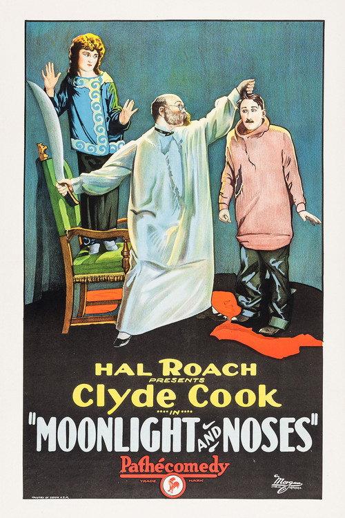 Moonlight and Noses 1925 official movie poster