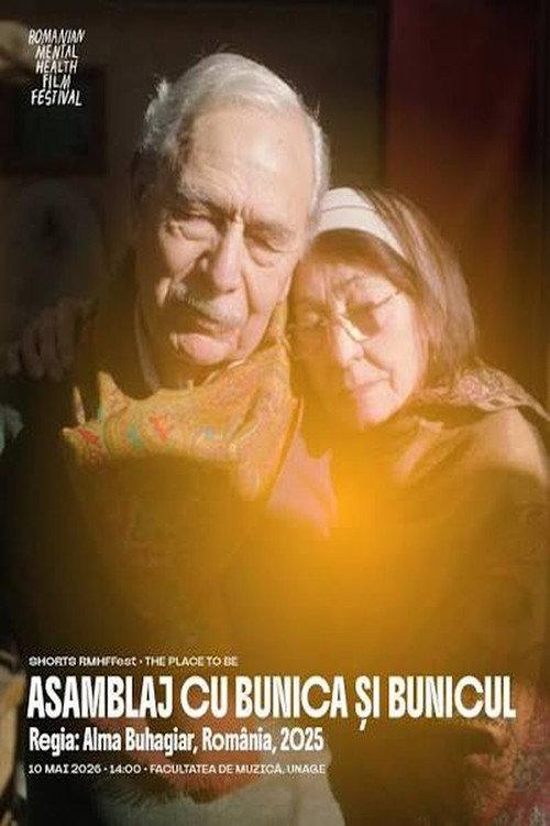 Patchwork with Grandpa and Grandma 2025 official movie poster