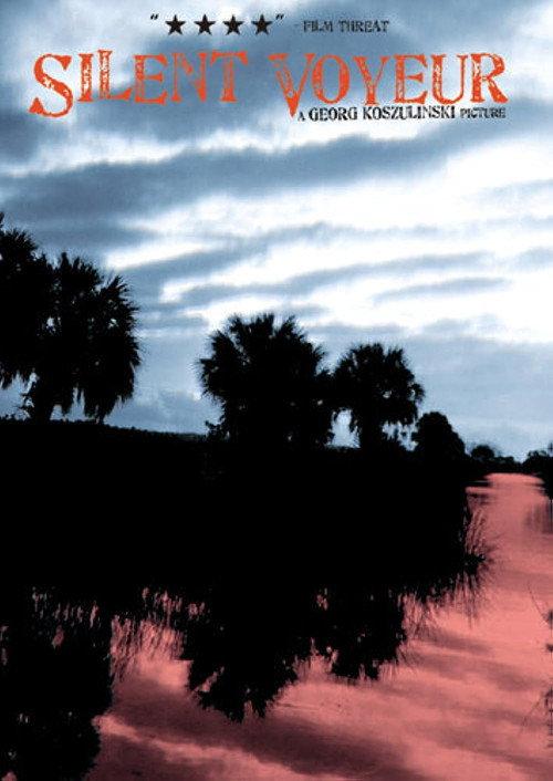 Silent Voyeur 2004 official movie poster