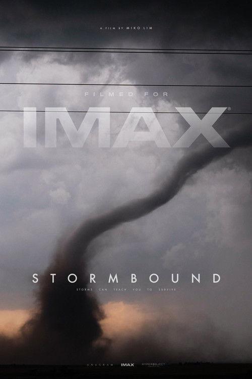 Stormbound 2026 official movie poster