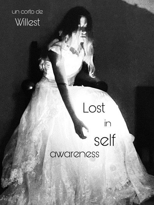 Lost in self awareness 2024 official movie poster