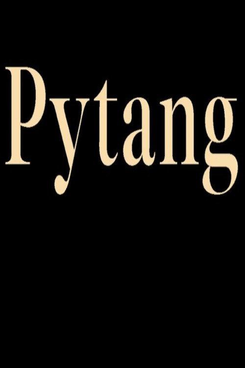 Pytang 2020 official movie poster