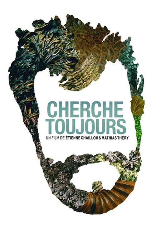 Cherche toujours 2008 official movie poster