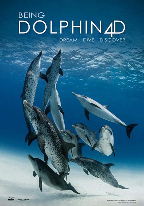 Being Dolphin 4D 2018 official movie poster