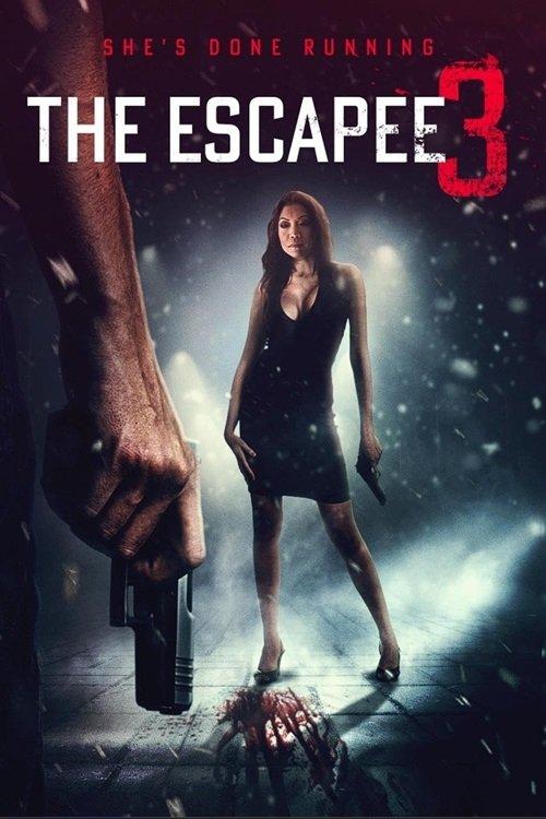 The Escapee 3: The Final Escape 2024 official movie poster