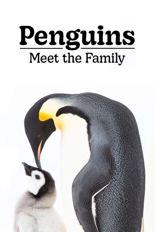 Penguins: Meet the Family 2020 official movie poster