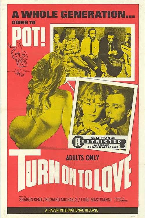 Turn On to Love 1969 official movie poster