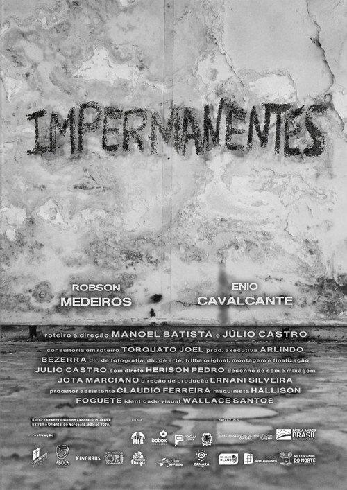 Impermanentes 2021 official movie poster