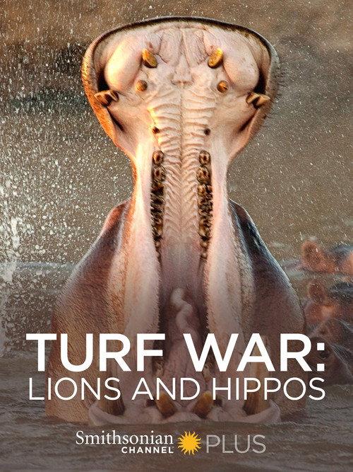 Turf War: Lions and Hippos 2009 official movie poster