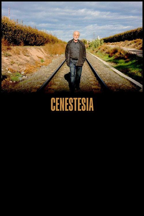 Cenestesia 2021 official movie poster