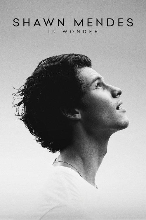 Shawn Mendes: In Wonder 2020 official movie poster