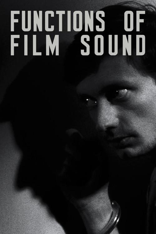 Functions of Film Sound 2013 official movie poster
