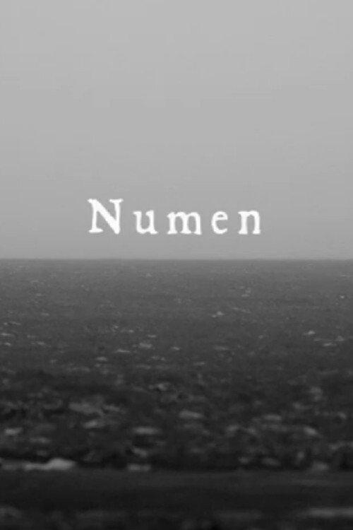 Numen 2014 official movie poster