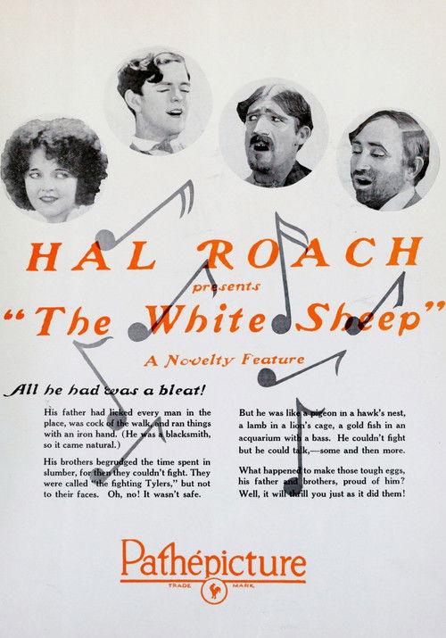The White Sheep 1924 official movie poster