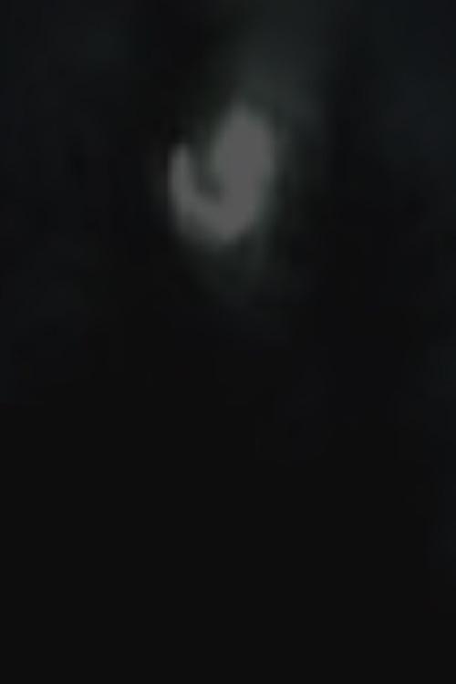 Moonlight 2005 official movie poster