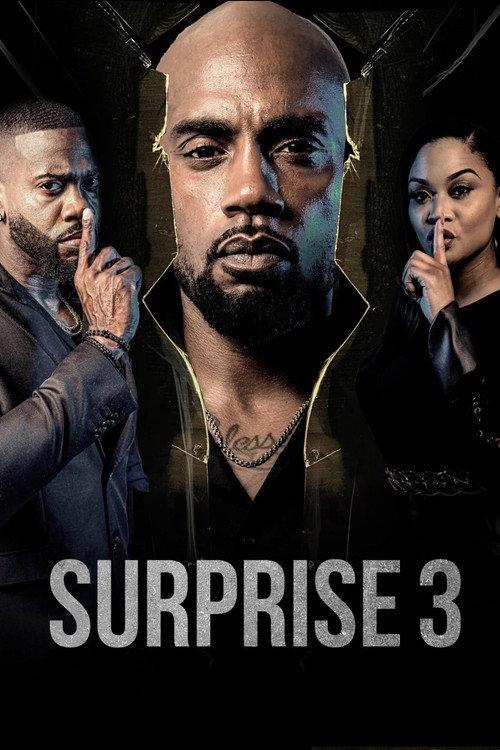Surprise 3 2024 official movie poster