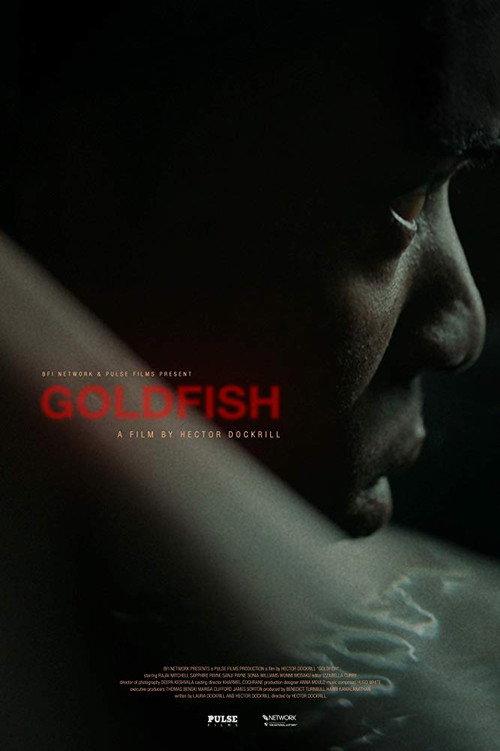 Goldfish 2019 official movie poster