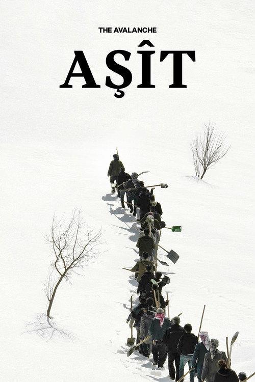 The Avalanche 2023 official movie poster