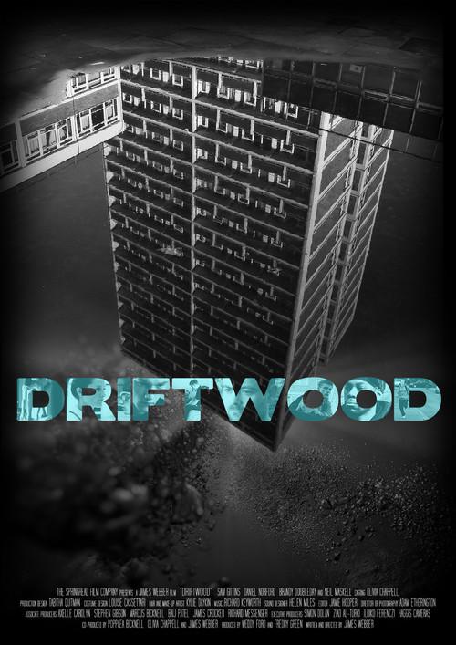 Driftwood 2012 official movie poster