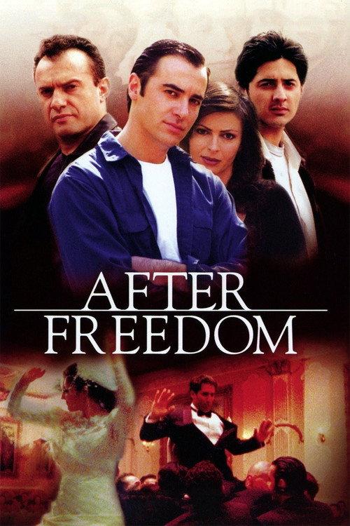 After Freedom 2004 official movie poster