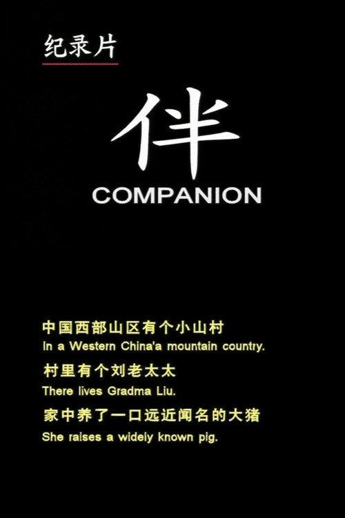 Companion 2003 official movie poster