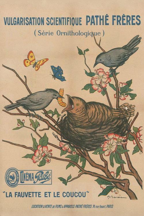 La Fauvette et le coucou 1912 official movie poster