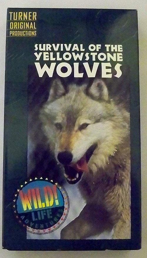 Survival of the Yellowstone Wolves 1996 official movie poster