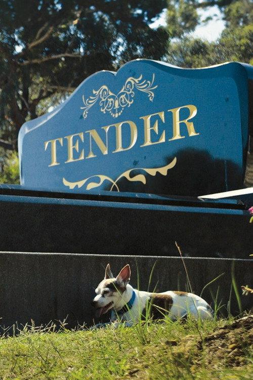 Tender 2014 official movie poster