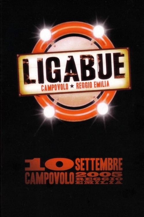 Ligabue Campovolo 2005 official movie poster