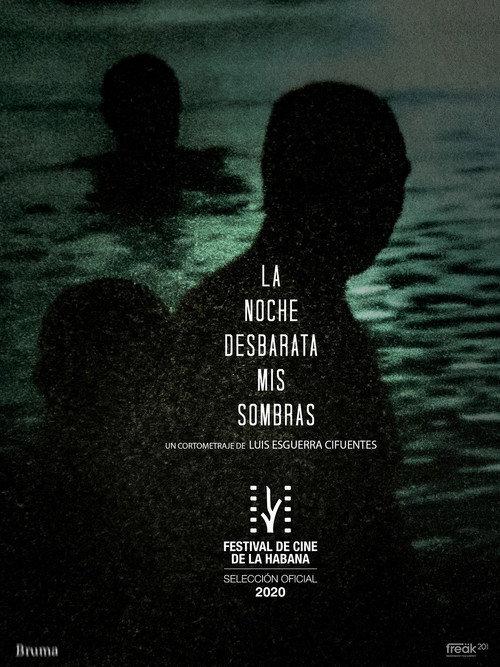 La Noche Desbarata mis Sombras 2020 official movie poster