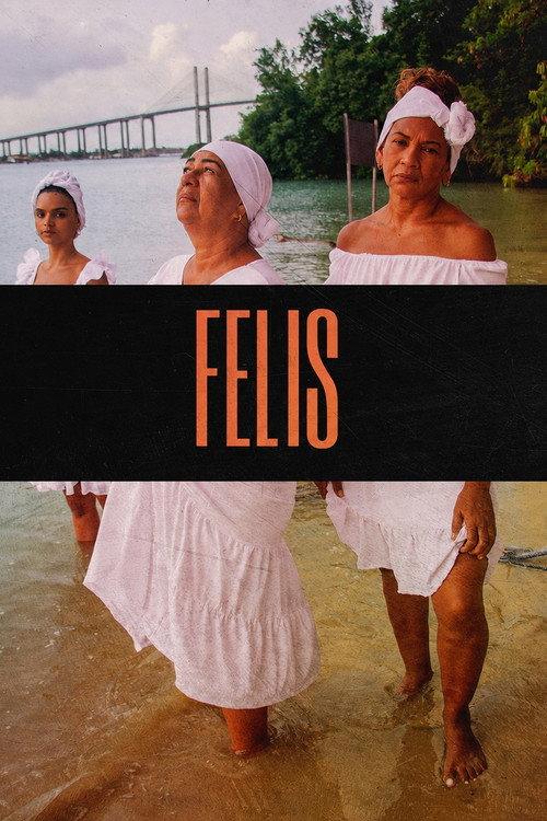 Felis 2024 official movie poster